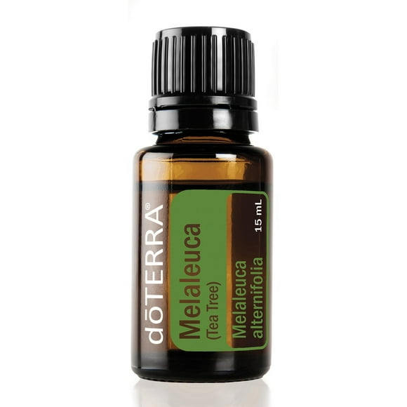 doTERRA Melaleuca Essential Oil - Promotes Healthy Immune Function, Seasonal Protection, Cleansing and Rejuvenating Effect on Skin; For Diffusion, Internal, or Topical Use - 15 ml 15 ml -