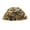 Realtree Max-5, variant on RIVERS WEST Adult Male Reversible Skull Cap, Color: MBC, Size: M