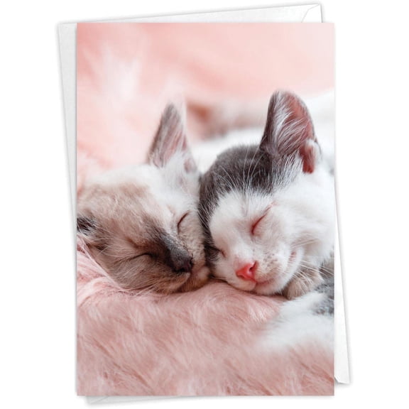 NobleWorks Anniversary Paper Card with 5 x 7 Inch Envelope (1 Card) Cuddling Cats C2815CANG