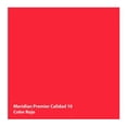 thumbnail image 2 of Pintura Meridian Premier 10 Años Rojo 4 Litros, 2 of 3