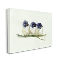 Stupell Industries Trio of Baby Swallows Birds Perched on Branch Animals & Insects Painting Gallery Wrapped Canvas Print Wall Art, 24 x 30