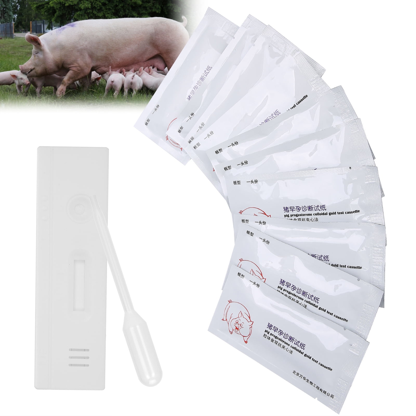 plate cut Pig Pregnancy Diagnosis Test Strips Sow a Pregnancy Test Kit 