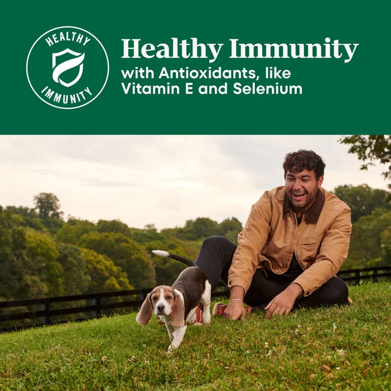 bella wet dog food feeding guidelines Bully Max 24/14 High Protein & Growth Puppy Formula Lamb Flavor Dry Dog Food