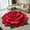Red, variant on Littleplum Floral Plush & Diatomaceous Earth Floor Mat,3D Flower Design Floor Mat,3D Visual Flower Shaped Diatom Mud Floor Rugs for Bedroom,Kitchen,Bathroom,Sofa,Coffee Table (Red,20x20 In)