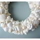 thumbnail image 5 of Set de vasos Shell Home Mix de conchas marinas blancas de 1 kg hasta 7,6 cm, 5 of 8