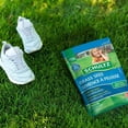 thumbnail image 4 of Schultz Grass Seed 1 kg, 4 of 4