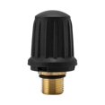 thumbnail image 1 of Steam Cleaner Brass Safety Valve for SC1 CTK10 SC2 SG4/2, 1 of 5