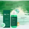 thumbnail image 4 of Teas Trees Essences Shampoo For Oil Control Dandruff Removal Scalp Purification Gentle Cleansing Softness Soothe The Scalp And Strengthen Hair 100ml, 4 of 5