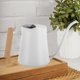 thumbnail image 3 of 1L Indoor Water Kettle Small Potted Plants Stainless Steel Water Kettle, 3 of 4