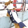 thumbnail image 3 of Labymos Dog Life Jacket with Handle Adjustable Fit Cute Swimming Vest, 3 of 8