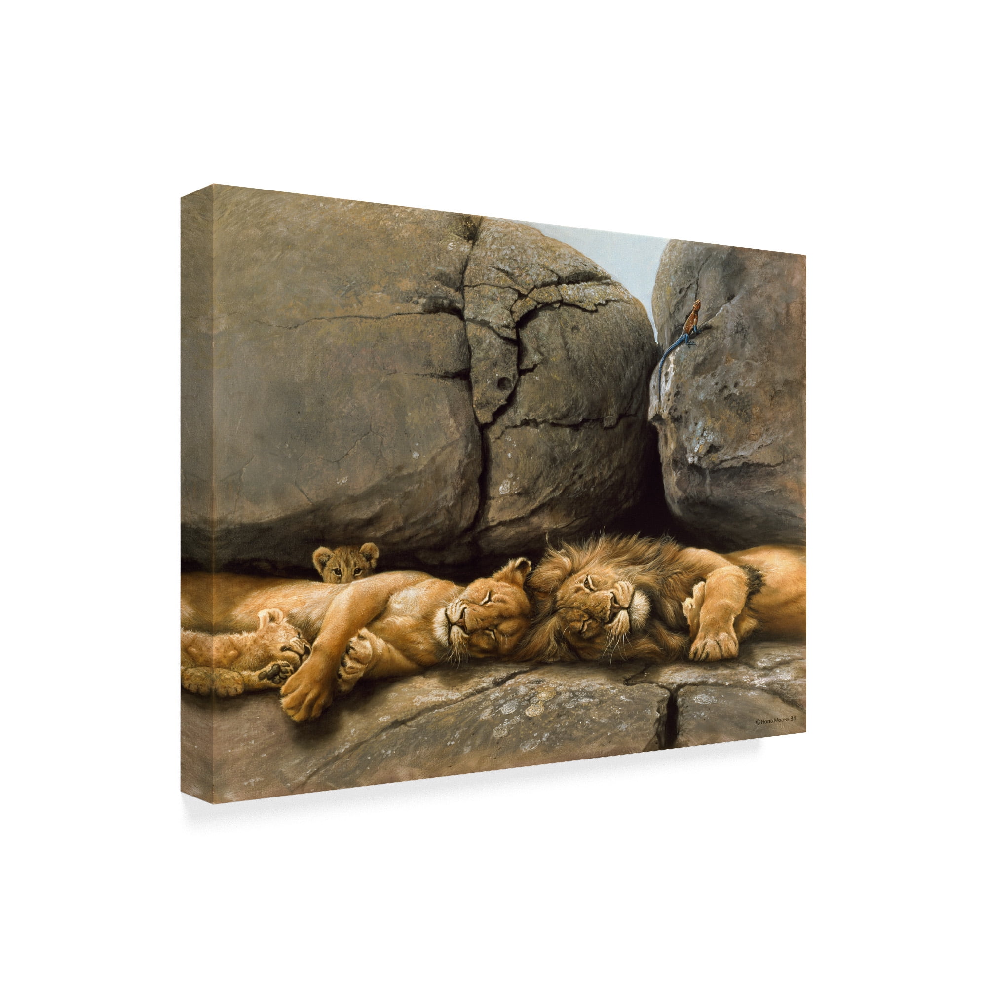 Trademark Fine Art 'Two Lions Head To Head' Canvas Art by Harro Maass