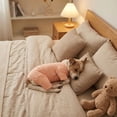 thumbnail image 4 of Dog Pajamas for Small Medium Large Dogs, Soft Stretch Breathable Pet Pjs, Lightweight Pet Clothes for Boy Girl Dogs & Cats(L,Saffron), 4 of 6