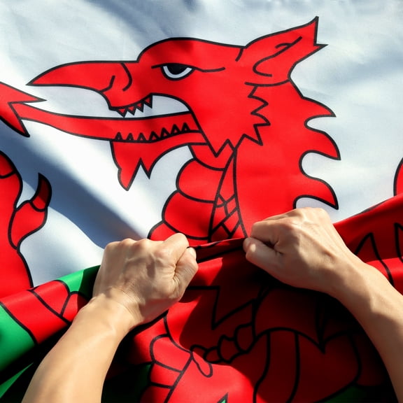 Anley Rip-Proof Double Sided 3-Ply Wales Flag 3x5 Ft - Welsh National Flag