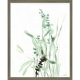 thumbnail image 1 of Great Art Now Grasses III by Katrina Pete, Framed Wall Art, 17W x 21H, 1 of 3