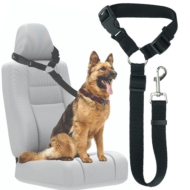 Seguridad para Coche para Correa Ajustable para Vehículo Collar Accesorios para (negro)
