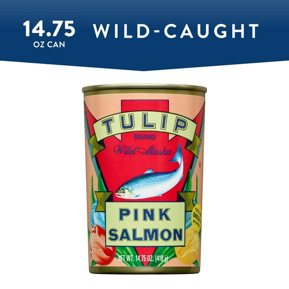 Salmon Canned