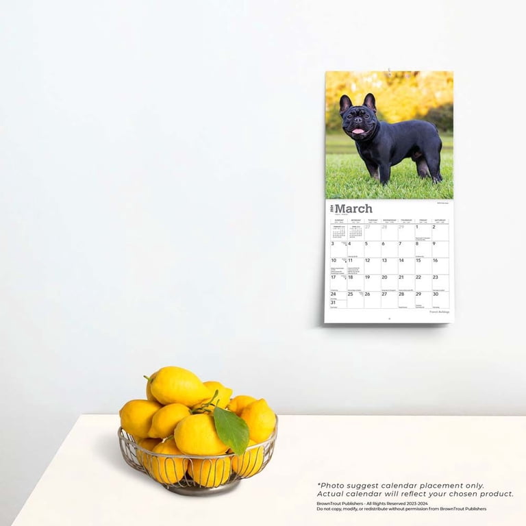 French Bulldogs | 2024 7x14" (Hanging) Mini Wall Calendar | BrownTrout -  Walmart.com