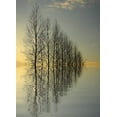 thumbnail image 2 of Anonymous 24x32 Gold Ornate Wood Framed with Double Matting Museum Art Print Titled - Reflections II, 2 of 4