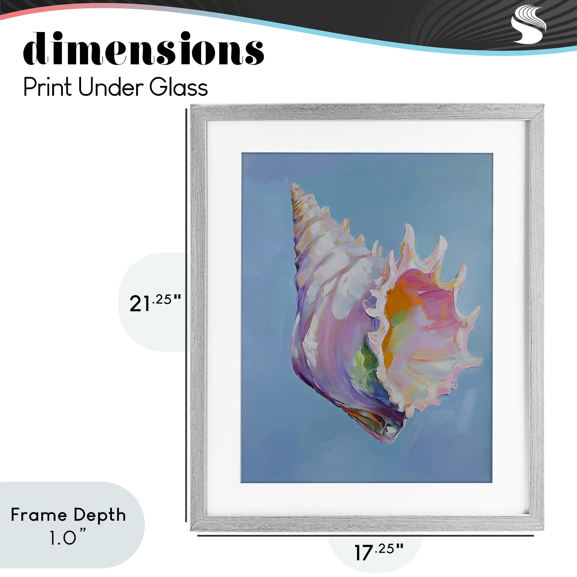 Stupell Industries Pastel Hued Conch on Blue Gray Framed Print Under Glass, design by The Prints Vibe