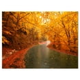thumbnail image 2 of Autumn Light Trails on Road - Landscape Photography Canvas Print, 2 of 3