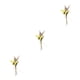 thumbnail image 4 of Wosthever Arreglos de hojas y flores secas ecológicos y sostenibles Ramo de flores secas naturales HS-09 Type1 NO1, 4 of 6