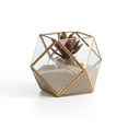 thumbnail image 1 of Danya B Polyhedral Brass and Glass Terrarium, 1 of 1