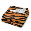 thumbnail image 2 of DouZhe Ultra-Soft Micro Fleece Lightweight Flannel Bed Blanket, Tiger Stripe Print Cozy Warm Throw Blankets, 60"x50", 2 of 7