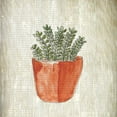 thumbnail image 2 of Kimberly, Allen 12x12 White Modern Wood Framed Museum Art Print Titled - Spring Cactus 2, 2 of 4