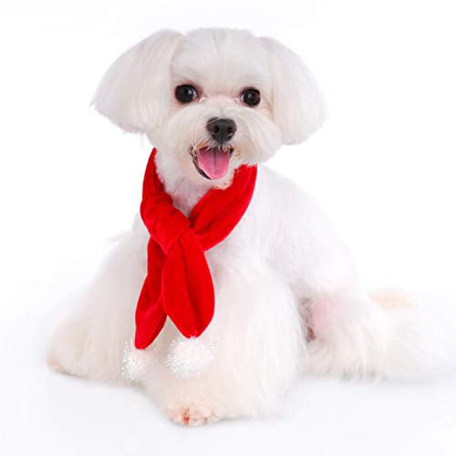 Tie Dress Bow Tie Pooch Outfitters Dog Christmas Outfit Collection Great for Family Xmas Card Photos Pajamas and Hat Collar Slider Scarf Coat 