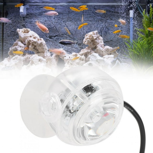 Projecteur de Nuit, Projecteur Coloré Étanche, pour Aquariums et Bacs à Poissons Rouge Prise EU