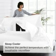 thumbnail image 4 of Bare Home Drap Plat Supérieur Collection en Microfibre Ultra Douce 1800 de Qualité Supérieure, 4 of 6