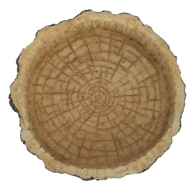 Alimentador De Reptiles De Forma Realista, Plato De Agua, Tortuga Acuática Sintética Para Tortuga