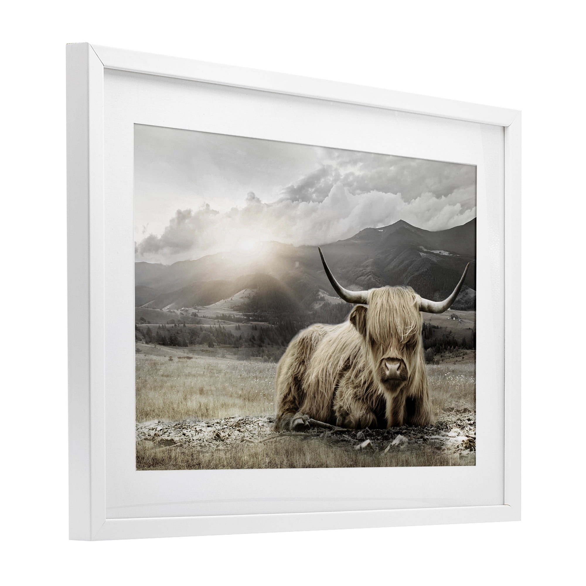 Stupell Industries Cattle Resting in Morning Sun White Framed Print Under Glass, design by CAD Designs
