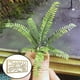 thumbnail image 5 of Kit de pintura de modelos DIY Plantilla Plantilla Patrón de hoja Almohadilla de pulverización Herramienta Accesorios Estilo 5, 5 of 8