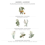 Panier des Sens Jasmine Shea butter Body lotion for dry skin, body cream - Made in France 97% natural - 8.45 Floz/250ml