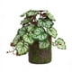 thumbnail image 1 of Planta Verde Simulada de 23 Hojas de Alumbre con Tacto Pegajoso, Flor Artificial, Decoración de Interiores para El Hogar, Accesorios de Pared., 1 of 1