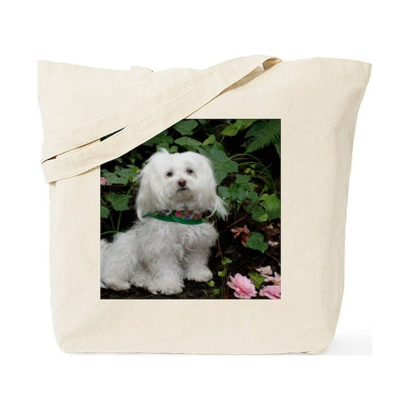 CafePress - Easter 2010 Tote Bag - Unisex Canvas Tote Bag, Beige, 1-Piece
