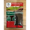 thumbnail image 4 of 3 Heritage Everbearing Red Raspberry Plants - Free Plant Boost Included!, 4 of 4