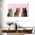thumbnail image 3 of Elephant Stock Cat Breed Colors Wall Art - Horizontal Multi Panel Canvas - Lobby Wall Decor - Animal Multi Panel - Gray And White Decor - 38" x 24", 3 of 8