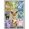 thumbnail image 2 of Men's Pokemon All About Eevee Eeveeloution  Graphic Tee Athletic Heather 3X Large, 2 of 5