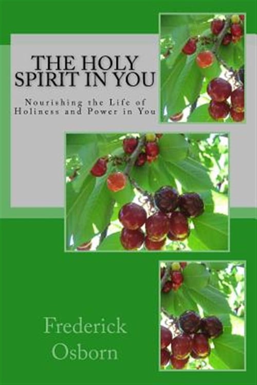 Pre-Owned The Holy Spirit in You (Paperback) - Walmart.com