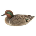 thumbnail image 5 of Large Mallard With Green Wing, 5 of 6