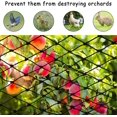 thumbnail image 3 of Black Bird Netting, 7.5m X 15m Bird Protection Netting, Bird Protection Netting, Pond Net Against Birds, Protection Netting For Fruit Trees Flowers Vegetables, 3 of 5