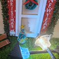 thumbnail image 3 of 5 Piezas 1/12 Puerta de Muebles en Miniatura Modelo de árbol de Navidad Kits de Construcción de de Simulación CUTICAT Puerta de la casa de muñecas, 3 of 8