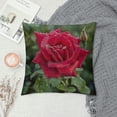 thumbnail image 2 of Leisuo  Throw Pillow Cover- Rose Red Flower After The Rain Summer Closeup, 2 of 5
