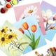 thumbnail image 4 of 12 lienzos prediseñados para pintar, 4 of 9
