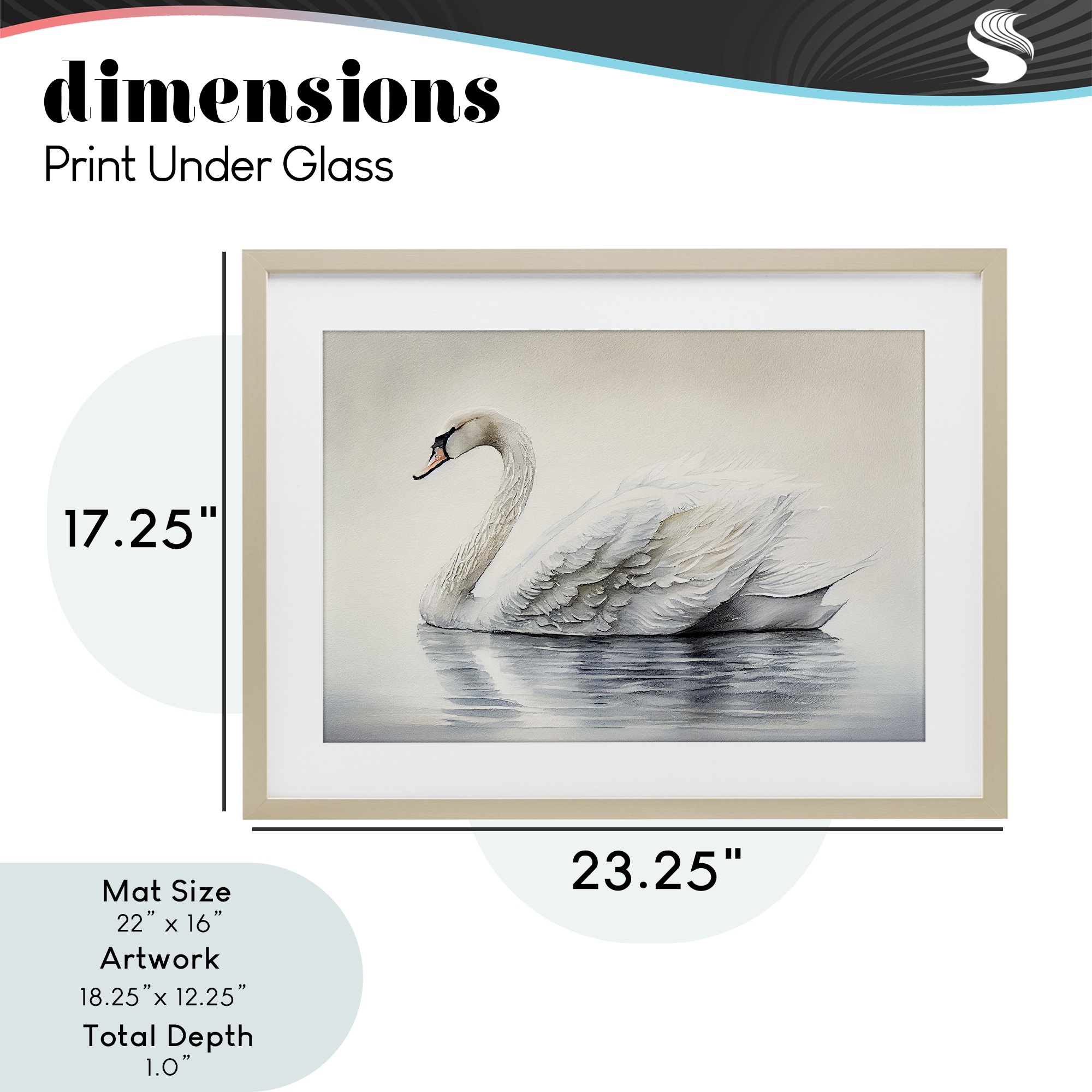 Elegant Floating Swan Birch Framed Print Under Glass, design by Sasha