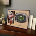 thumbnail image 2 of Brown Chicago Bears 3D StadiumViews Picture Frame, 2 of 5