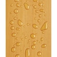 thumbnail image 5 of Olympic WaterGuard 1 Gallon Clear Exterior Waterproofing Wood Sealer, 5 of 9
