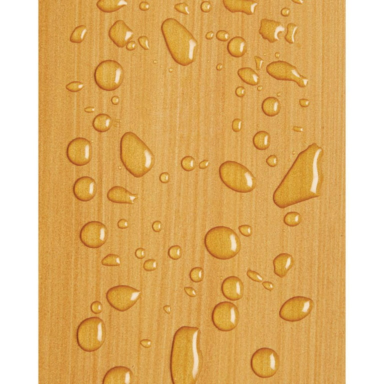 Olympic WaterGuard Exterior Wood Stain & Sealer, Transparent